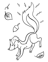 Download free printable skunk coloring pages. Free Skunk Coloring Page