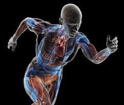Image result for body energy