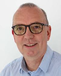 Carbon fibre based electrodes for structural batteries