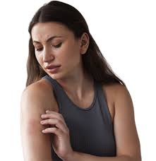 Insect Sting Allergy Treatment l IAFA for Allergy