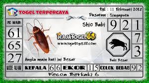 Prediksitogel Prediksitogelterpercaya Juditogelonline Rumus2d Rumus3d Rumus4d Agenjuditogel Bandartogel Prediksitogel Dukuntogel Bandardarat Singapura