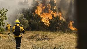 Incendio espontáneo de rastrojos en un solar sin edificar de madrid. Miles De Personas Huyen De Sus Hogares Mientras Grecia Lucha Contra Los Devastadores Incendios Forestales