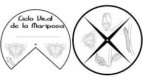 Menta Mas Chocolate Recursos Y Actividades Para Educacion Infantil Actividades Para Trabajar Los Ciclos De La Vida Ciclo De Vida De La Mariposa Cuadernos Interactivos De Ciencias Y Actividades