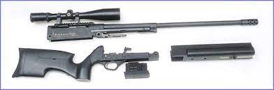 The Heckler Koch Slb 2000 Looserounds Com