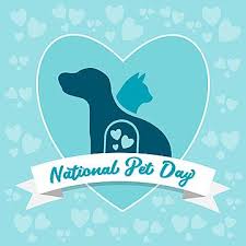 How much to charge for pet day care? National Pet Day Cat And Dog Vector Graphic Pet Day Vector National Pet Day Icon Png And Vector With Transparent Background For Free Download In 2021 National Pet Day Hug Your