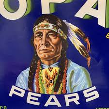 MOPAC Brand Pears Crate Label MODOC Orchard Medford OR Oregon Produce  Bushel