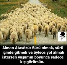 Dusunen Deli Ozlu Sozler Guzel Soz Alayci Sozler