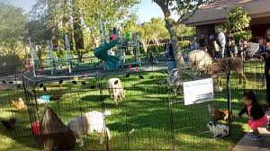 The philadelphia zoo was the first zoo to open to the public in 1874 with a children's zoo in place. Event Rentals Pony Party Time