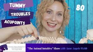 Acupressure Dogs & Cat Stomach Upset