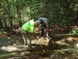 Annual Report 2017 CC17 092618.indd