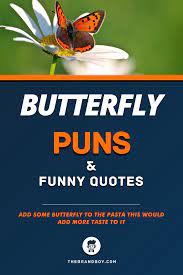 Dad jokes intersect with all different kinds of dumb humor, but they share a mysterious but unmistakable quality: 120 Best Butterfly Puns And Funny Quotes Thebrandboy Com Puns Funny Puns Pun Quotes
