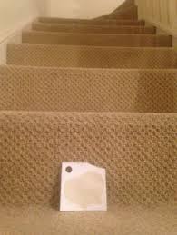 This way, your whole house can havea running theme, with complimentary colours! Please Help Me Pick A Colour For My Hall Stairs Landing Houzz Uk