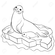 We did not find results for: Mother Seal Coloring Pages Cute Animal Coloring Pages Coloring Pages For Kids And Adults