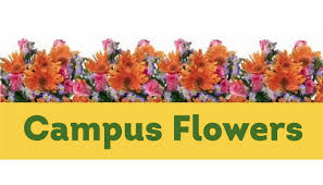 Maybe you would like to learn more about one of these? Tempe Florist Flower Delivery By Campus Flowers