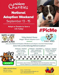 Over 85,000 animal lives saved since 2005. National Adoption Weekend At Petsmart Fresno Petfinder Event Calendar