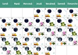 Calendrier Lunaire Jardiner Avec La Lune De Novembre 2018