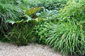 Andrew Duff Garden Design Prairie Planting Garden Shade Garden