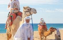 On arrival at the ranch, gain insight into the baja peninsula's ecology as you enjoy a scenic stroll on a coastal trail. Outback Camel Safari Cabo San Lucas Project Expedition
