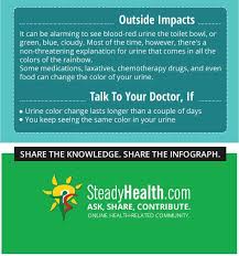 Makanan yang lebih berwarna, lebih banyak antioksidan yang anda dapat. Kenapa Air Kencing Berwarna Kuning Terang Bila Makan B Complex Maria Firdaus