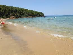 We did not find results for: Beach In Nea Roda Picture Of Lazaridis Hotel Nea Rodha Tripadvisor