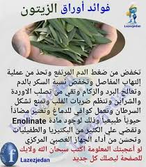 فوائد ورق الزيتون طب التداوي بالاعشاب Health Fitness Nutrition Health Facts Food Health And Nutrition