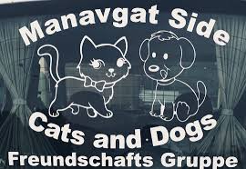 Aus alanya, side, manavgat, belek, antalya und kemer Antalya Manavgat Side Cats And Dogs Home Facebook