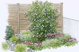 Mittelmeer Schneeball Plan Jardin Jardins Terrasse