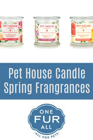 Knowing more about puppy mills and how to stay away from them is important when you're deciding where to get your new pet from. Pin On Onefuralll Website Pet House Candles