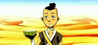 Avatar the last airbender zuko vinyl weatherproof sticker. Top 30 Cactus Juice Sokka Gifs Find The Best Gif On Gfycat