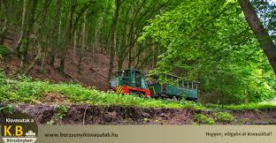 A döntés szinte valamennyi hazai kisvasutat érinti, de a 2. Kisvasutak A Borzsonyben Home Facebook
