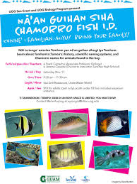 Uog Sea Grant Leads Fish Id Workshop Beach Snorkel This