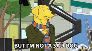 But Im Not A Sad Dog Im A Happy Dog Mr Peanutbutter Gif But Im Not A Sad Dog Im A Happy Dog Mr Peanutbutter Paul Tompkins Discover Share Gifs
