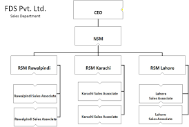 29 unique sales department chart