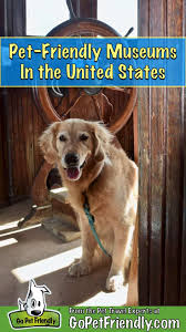 Need a pet friendly hotel in colorado springs, co? Pet Friendly Museums To Enjoy With Your Travel Buddy In The United States