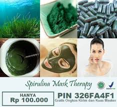 jual masker spirulina health beauty bandung facebook 6 photos jual masker spirulina health beauty