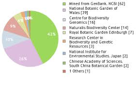 Image result for Oenanthe mildbraedii