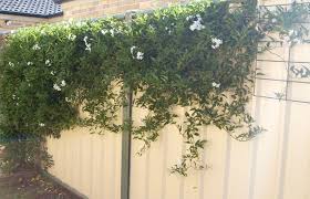 Grow Vines And Vegetables Simply With This No Drill Solution For Colorbond C Steel Fencing Very Easy To Install Vertical Garden Backyard Inspo Garden Design