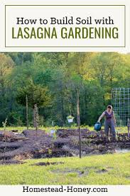 Building Soil With Lasagna Gardening Homestead Honey In 2020 Lasagna Gardening Potting Soil Soil Improvement