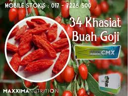 Goji berry buah super kaya khasiat. 34 Khasiat Buah Goji 1 Afx Cmx Maxxima Stokis Johor Dt Facebook