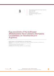 Egg parasitoids of the leafhopper Rhabdotalebra flava Catalano (Hemiptera:  Cicadellidae)