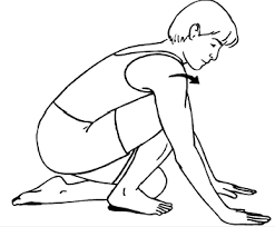 Soleus Stretch Kneeling Muscle Stretches Stretches Gastrocnemius Muscle
