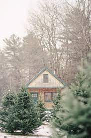 Maybe you would like to learn more about one of these? Shopper S Diary A Christmas Tree Farm In Maine Gardenista