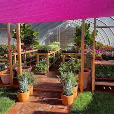 Find your perfect local teacher now. B Gardening Landscape Design Home Facebook