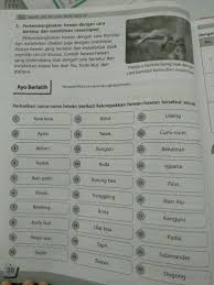 Tidak peduli berapa banyak model meja yang ada, tidak peduli berapapun ukurannya, warnanya, dan fisiknya yang berbeda, benda tersebut tetaplah sebuah meja. Contoh Jenis Hewan Ovipar Vivipar Dan Ovovivipar Brainly Co Id