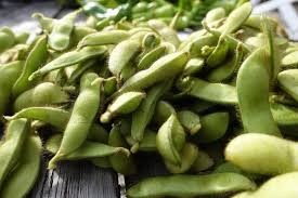 Transfer the frozen beans to freezer bags, squeeze to remove air, and seal the bag. Guide How To Freeze Soybeans Sara S Kitchen Garden