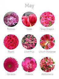 In alternativa, se stavi avviando un negozio di fiori più commerciale e rivolto agli appassionati di. Nomi Di Fiori