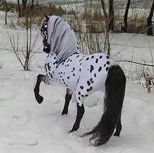 35 Beautiful Horse Pictures And Photos Gallery 35 And Beautiful Gallery Horse Photos Pictures En 2020 Caballos Caballos Appaloosa Caballos Bonitos