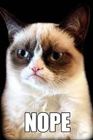 Grumpy Cat Nope Meme Grumpy Cat
