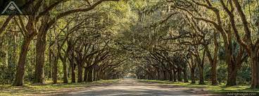 We did not find results for: U S Southeast Landscape Travel Photography Arising Images