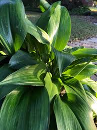 We did not find results for: Schatz Landscape Design Posts Facebook